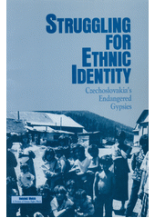 Struggling for ethnic identity : Czechoslovakia's endangered gypsies : a Helsinki Watch report Cover Image