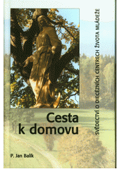 Cesta k domovu : svědectví o diecézních centrech života mládeže  Cover Image