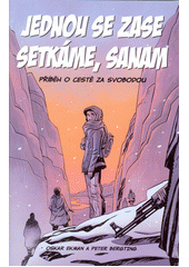 Jednou se zase setkáme, Sanam : příběh o cestě za svobodou  Cover Image